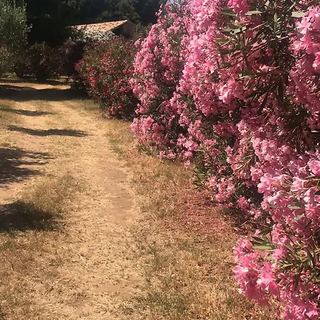 度假居 Calabria- Casa Sul Mare La Camilluccia