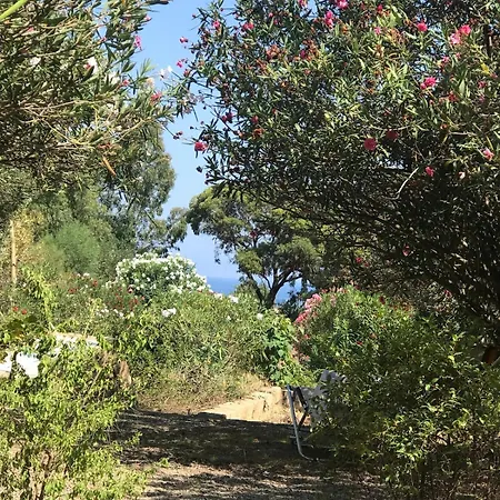 Calabria- Casa Sul Mare La Camilluccia Ferienhaus Ovile la Marina