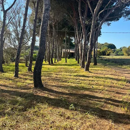 Calabria- Casa Sul Mare La Camilluccia Vakantiehuis Ovile la Marina