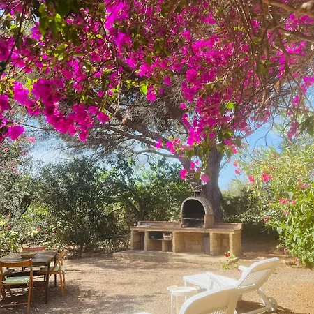 Calabria- Casa Sul Mare La Camilluccia * Ovile la Marina