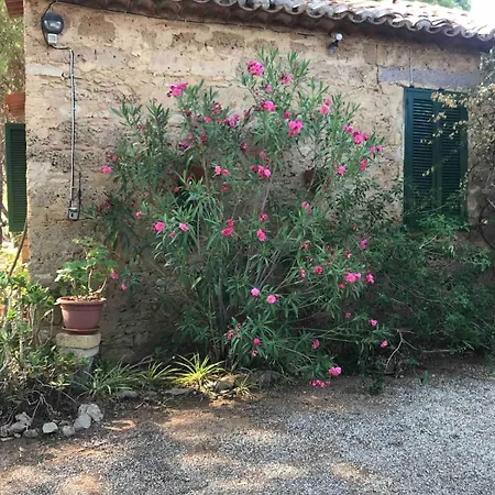 Holiday home Calabria- Casa Sul Mare La Camilluccia Ovile la Marina