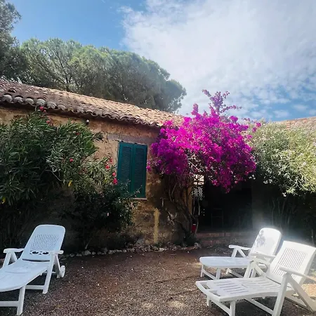 Calabria- Casa Sul Mare La Camilluccia * Ovile la Marina