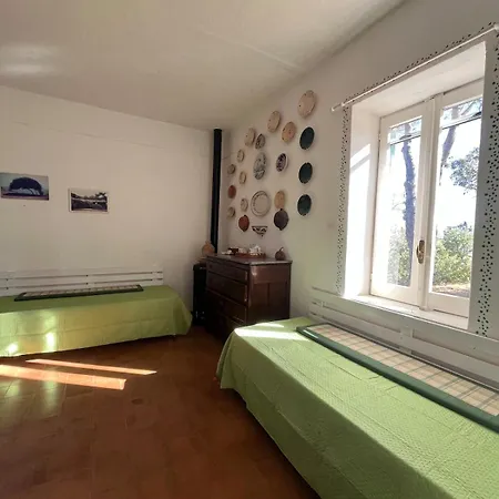 Calabria- Casa Sul Mare La Camilluccia * Ovile la Marina