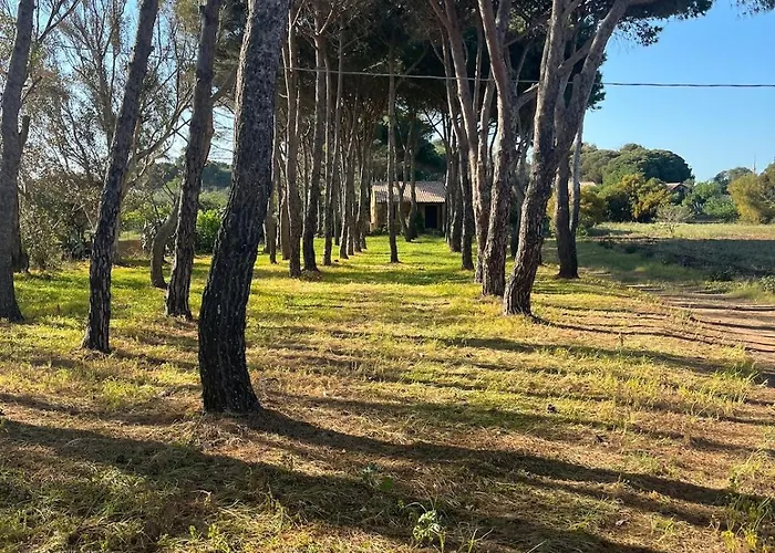 Calabria- Casa Sul Mare La Camilluccia בית נופש Ovile la Marina